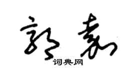 朱錫榮郭嘉草書個性簽名怎么寫