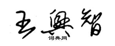 朱錫榮王興智草書個性簽名怎么寫