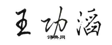 駱恆光王功滔行書個性簽名怎么寫