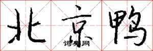 錢沛雲北京鴨行書怎么寫