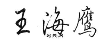 駱恆光王海鷹行書個性簽名怎么寫