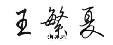 駱恆光王繁夏行書個性簽名怎么寫