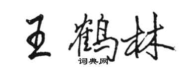 駱恆光王鶴林行書個性簽名怎么寫