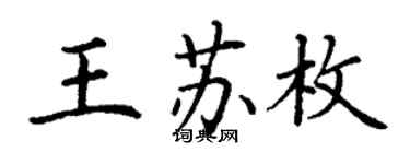 丁謙王蘇枚楷書個性簽名怎么寫