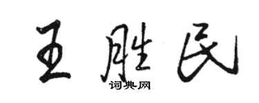 駱恆光王勝民行書個性簽名怎么寫