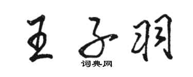 駱恆光王子羽行書個性簽名怎么寫