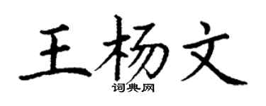 丁謙王楊文楷書個性簽名怎么寫