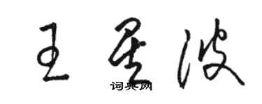 駱恆光王星波草書個性簽名怎么寫