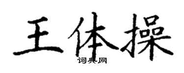 丁謙王體操楷書個性簽名怎么寫