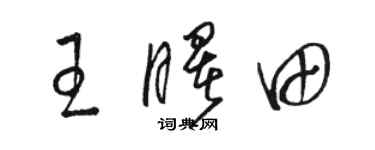 駱恆光王曙田草書個性簽名怎么寫