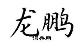 丁謙龍鵬楷書個性簽名怎么寫
