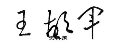 駱恆光王胡軍草書個性簽名怎么寫