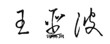 駱恆光王聖波草書個性簽名怎么寫