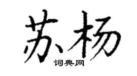 丁謙蘇楊楷書個性簽名怎么寫