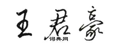 駱恆光王君豪行書個性簽名怎么寫