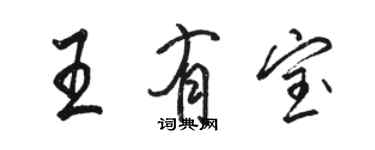 駱恆光王有寶行書個性簽名怎么寫