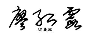 朱錫榮廖紅霞草書個性簽名怎么寫