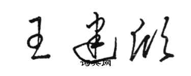 駱恆光王建欣草書個性簽名怎么寫
