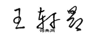 駱恆光王軒昂草書個性簽名怎么寫