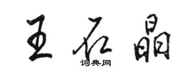 駱恆光王石晶行書個性簽名怎么寫