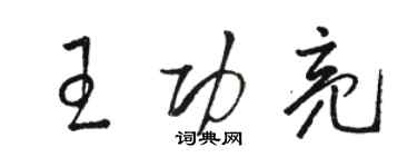 駱恆光王功亮草書個性簽名怎么寫