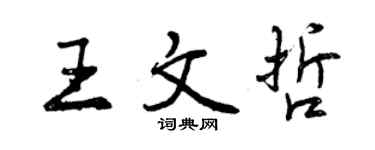曾慶福王文哲行書個性簽名怎么寫