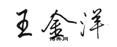駱恆光王金洋行書個性簽名怎么寫