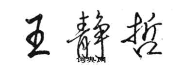 駱恆光王靜哲行書個性簽名怎么寫