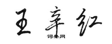 駱恆光王辛紅行書個性簽名怎么寫