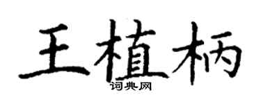 丁謙王植柄楷書個性簽名怎么寫