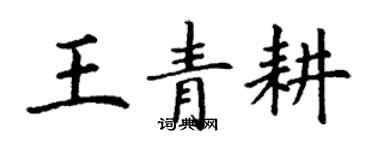 丁謙王青耕楷書個性簽名怎么寫