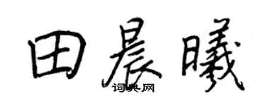 王正良田晨曦行書個性簽名怎么寫