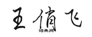 駱恆光王俏飛行書個性簽名怎么寫