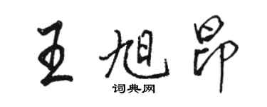 駱恆光王旭昂行書個性簽名怎么寫