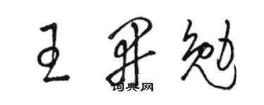 駱恆光王開勉草書個性簽名怎么寫