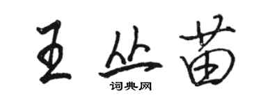 駱恆光王叢苗行書個性簽名怎么寫