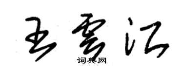 朱錫榮王雲江草書個性簽名怎么寫