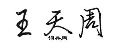 駱恆光王天周行書個性簽名怎么寫