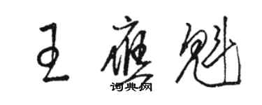 駱恆光王應魁草書個性簽名怎么寫