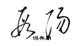 駱恆光段陽草書個性簽名怎么寫