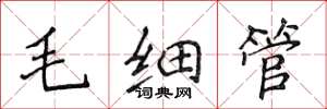 侯登峰毛細管楷書怎么寫