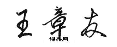 駱恆光王章友行書個性簽名怎么寫