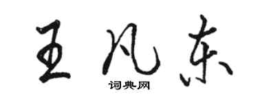 駱恆光王凡東行書個性簽名怎么寫