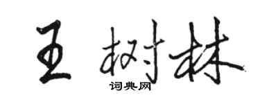 駱恆光王樹林行書個性簽名怎么寫
