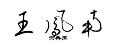 梁錦英王鳳南草書個性簽名怎么寫