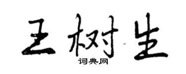 曾慶福王樹生行書個性簽名怎么寫