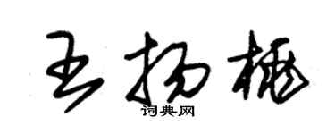朱錫榮王揚桃草書個性簽名怎么寫