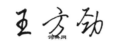 駱恆光王方勁行書個性簽名怎么寫