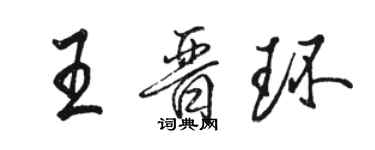 駱恆光王晉環行書個性簽名怎么寫