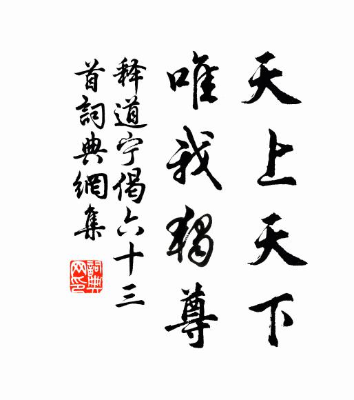 天運丁陽九，蒙塵事可傷 詩詞名句